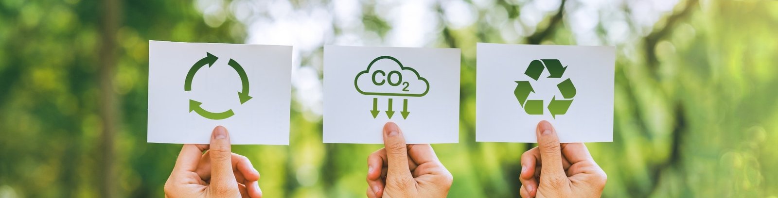 Net Zero & Carbon Management