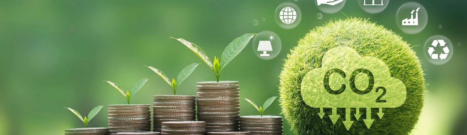 Carbon Markets and Accounting