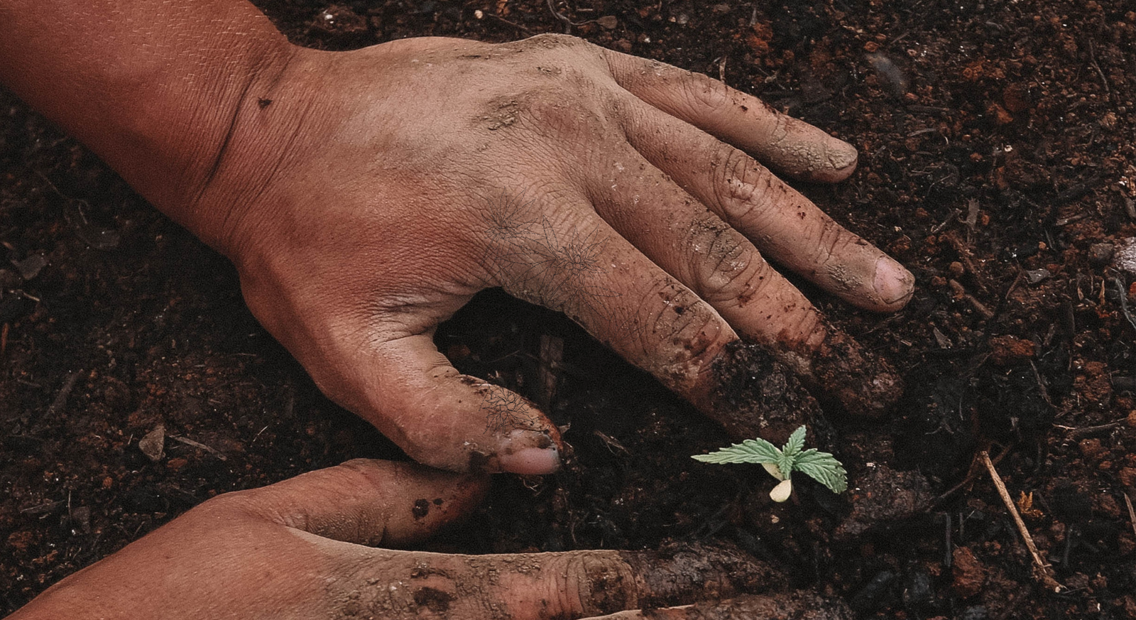 Course heading and pics (3)